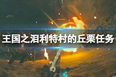《塞尔达传说王国之泪》攻略——利特村的丘栗任务怎么做
