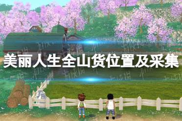 《牧场物语Welcome美丽人生》攻略——全山货位置及采集攻略