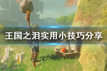 《塞尔达传说王国之泪》攻略——实用小技巧