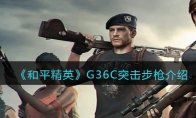 《和平精英》攻略——G36C突击步枪解析