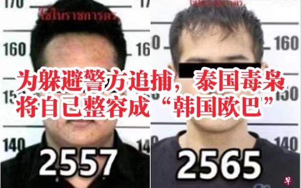 毒枭为逃避追捕整容成“韩国欧巴，头回见