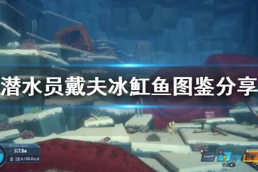 《潜水员戴夫》攻略——冰魟鱼图鉴
