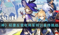 《原神》攻略——稻妻反雷电将军特训最终挑战攻略